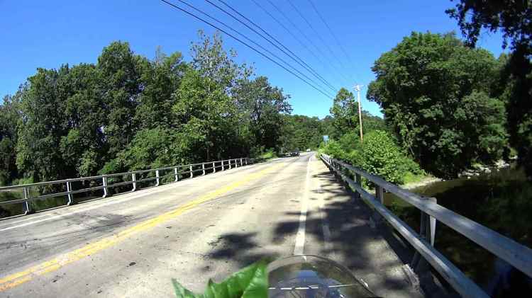 Jackson Rd - Leaf Impact - 2016-06-30 - 0512
