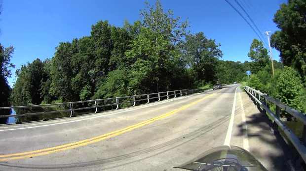 Jackson Rd - Leaf Impact - 2016-06-30 - 0558