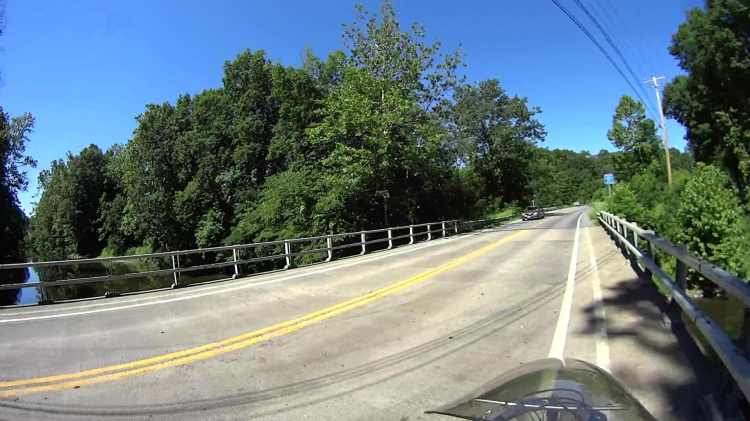 Jackson Rd - Leaf Impact - 2016-06-30 - 0558