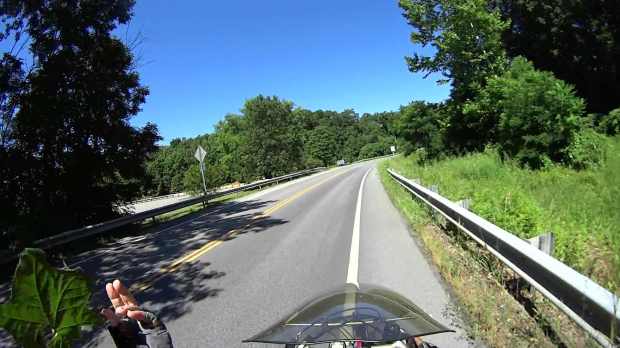 Jackson Rd - Leaf Impact - 2016-06-30 - 0798