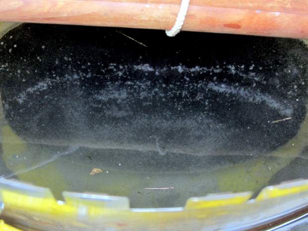 Wagner cast iron skillet - in stripping bath