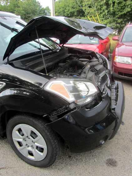 Deer-smashed car