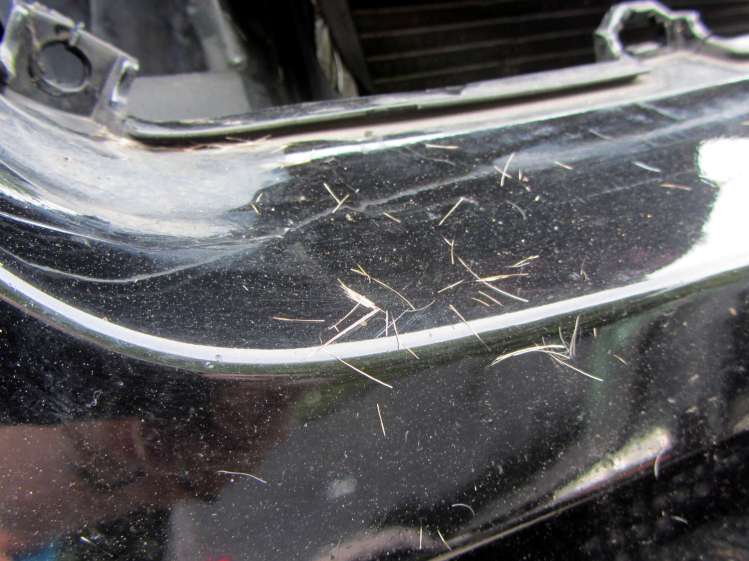 Deer-smashed car - hair detail