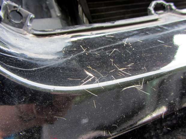 Deer-smashed car - hair detail