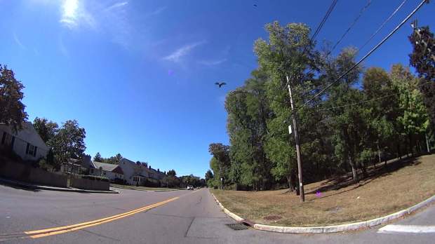 Vulture - 2016-09-25 - Hooker Ave