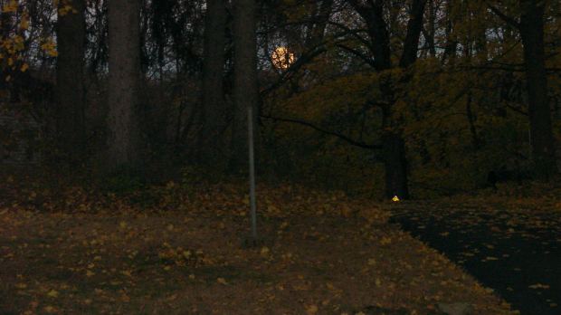 Supermoon - 2016-11-13