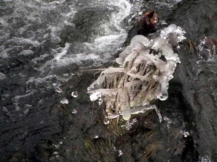 Red Oaks Mill Dam 2016-12-11 - ice on rocks 2