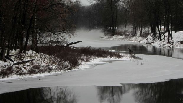 Red Oaks Mill Dam 2016-12-18 - upstream fog