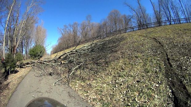 DCRT - Maloney Rd - tree down - 2017-02-20