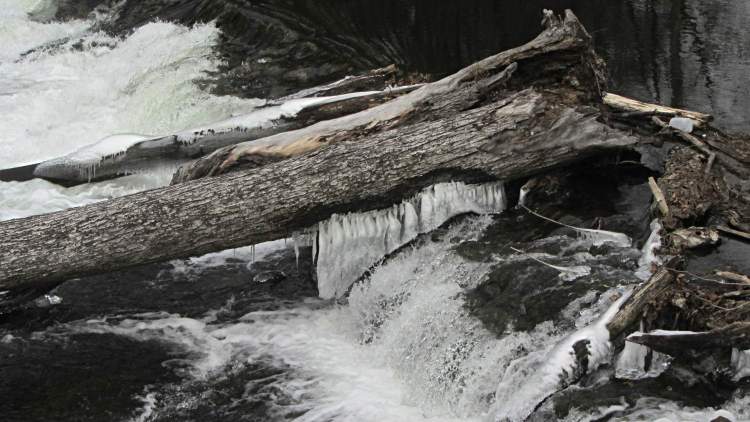 Red Oaks Mill Dam - ice formation