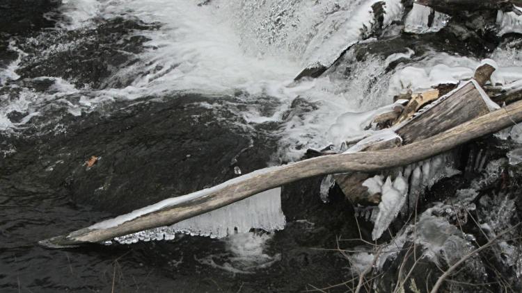 Red Oaks Mill Dam - ice coated branch