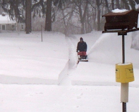Driveway clearing - 2017-03-14