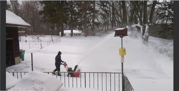 Fun in Snow - 2017-03-15