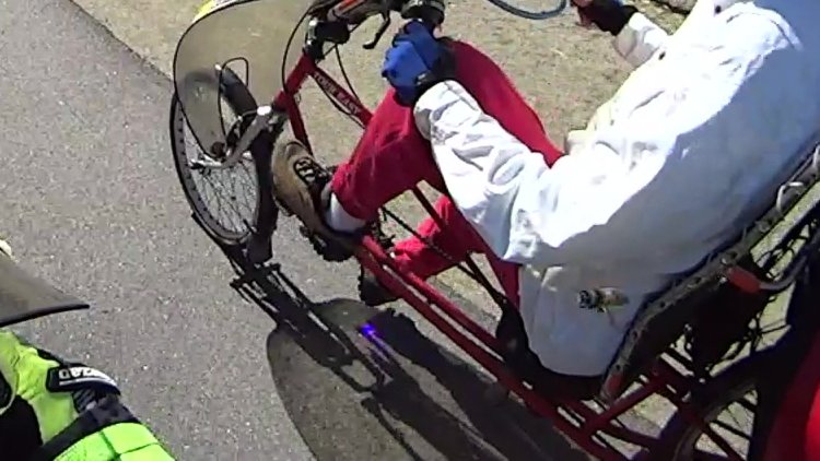 Honeybee escort - detail 2x - 2017-03-29