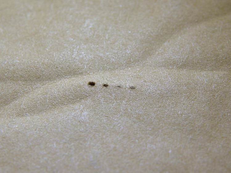 Amazon - envelope perforations