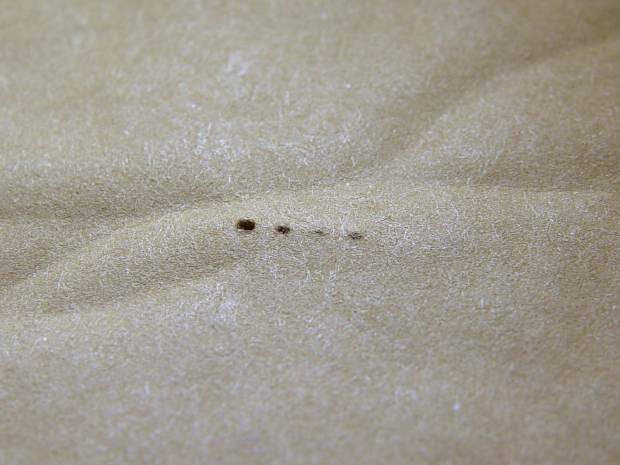 Amazon - envelope perforations
