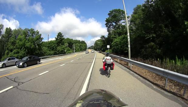 Rt 376 - NB marker 1124 - Rail defoliation - 2017-07-15