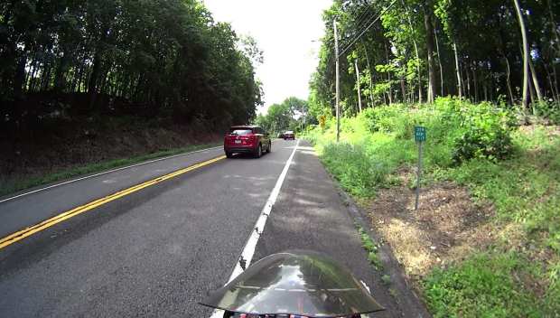 Rt 376 - SB marker 1117 - Sign defoliation - 2017-07-15