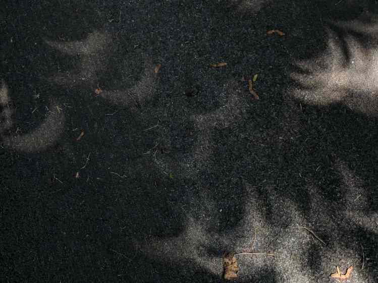 Eclipse 2017-08-21 - maximum - shadows