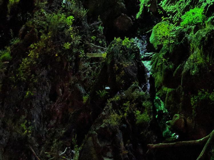Wappingers Falls Bridge - Pixel XL HDR - Gorge crop - 2017-09-22