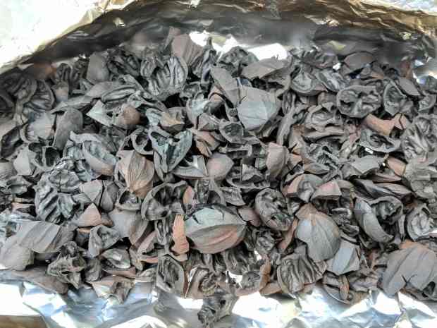 Carbonized hickory shells