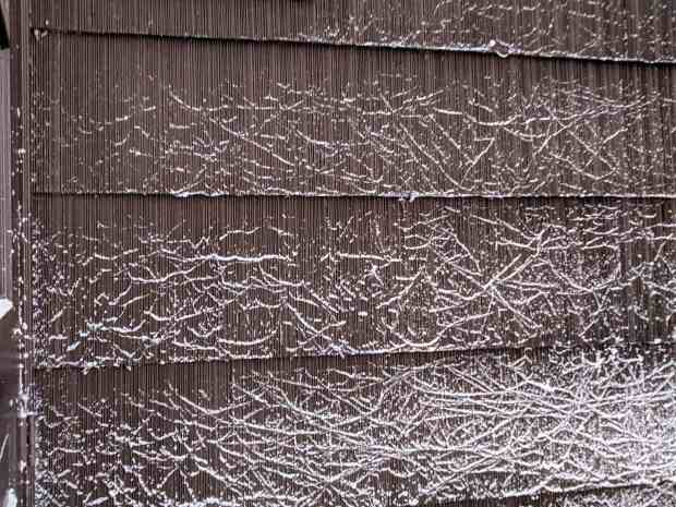 Snow-dusted spider silk