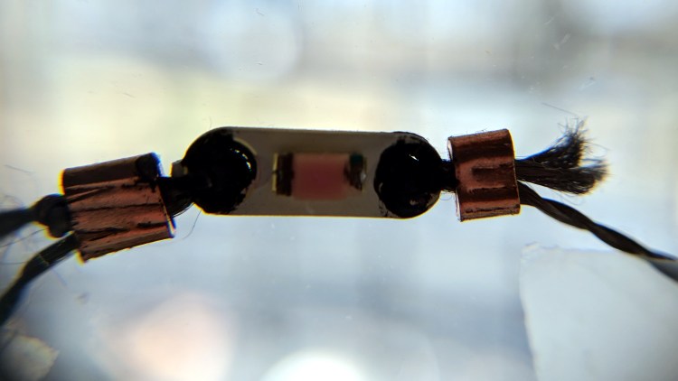 Wearable LED - daylight