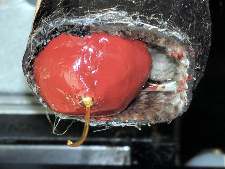 M2 - nozzle silicone - bottom view