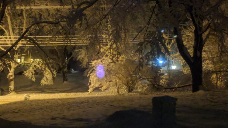 Snowfall - Pixel IR rangefinder reflections - detail