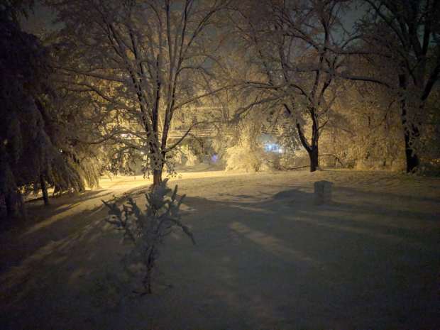 Snowfall - Front yard