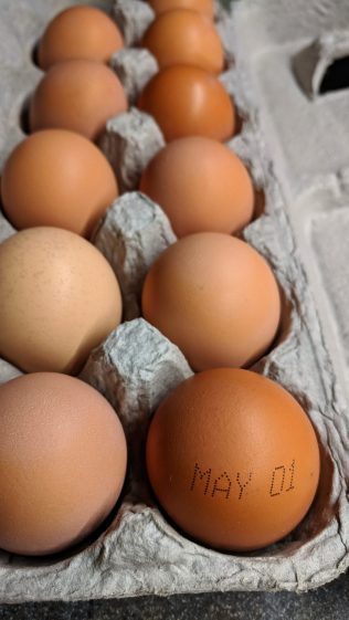 Date-coded brown egg