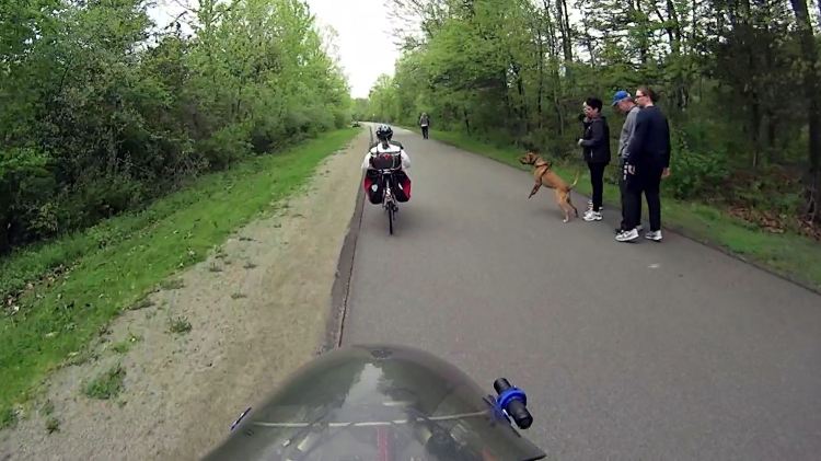 Dog Lunge - DCRT 2017-05-13