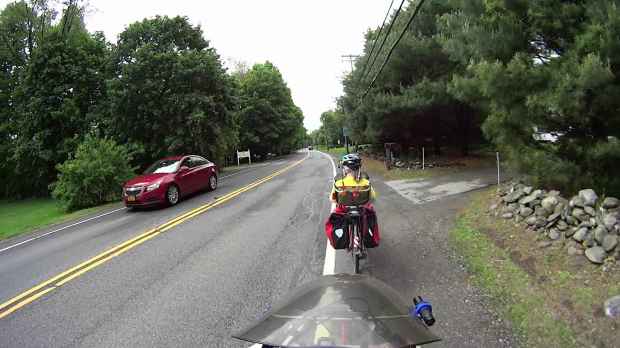 Turtle 0134 - Vassar Rd - 2018-05-20