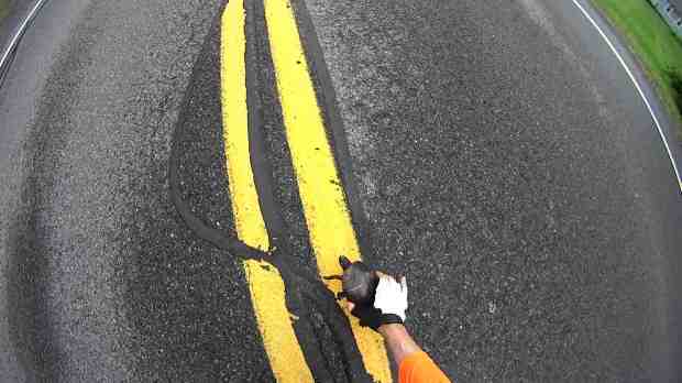 Turtle 1280 - Vassar Rd - 2018-05-20