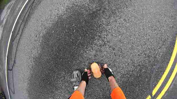 Turtle 1364 - Vassar Rd - 2018-05-20