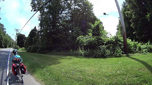 Chopper over power lines - Vassar Rd near Jackson Dr - 2018-06-11