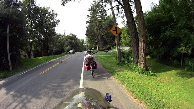 Vultures - New Hackensack Rd - 2018-08-27 - 0190