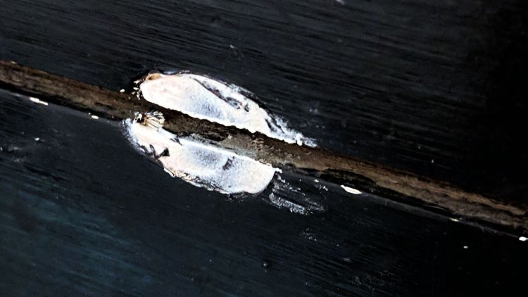 Bathroom knob - filled divot