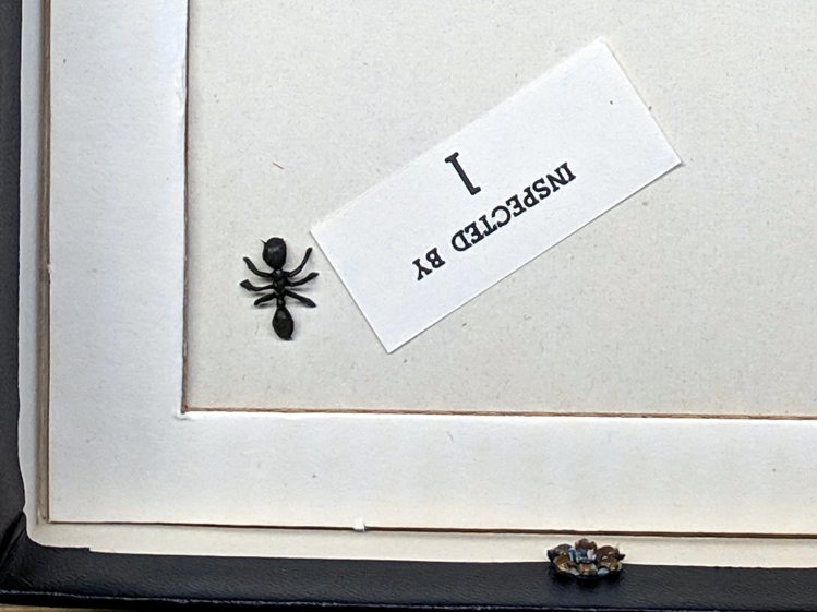 OED Magnifier drawer - plastic ant - detail