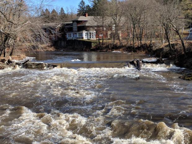 Red Oaks Mill Dam - 2018-01-13