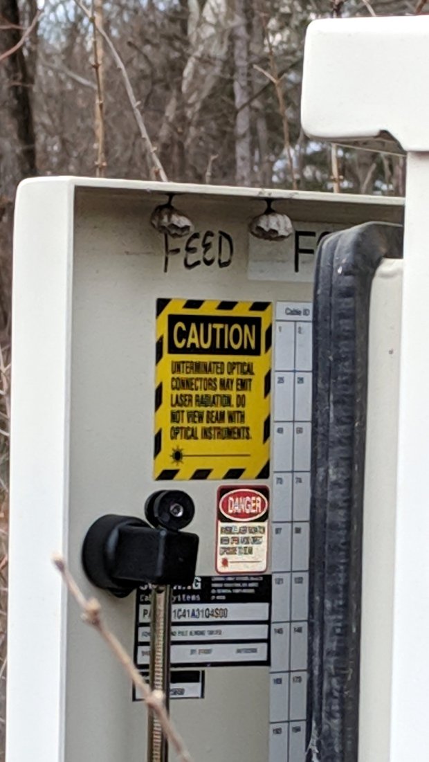 Cable Box - wasp nests