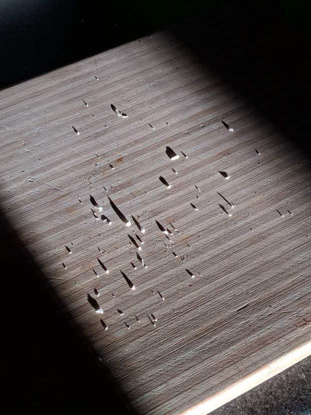 Cutting board - grazing sunlight