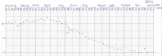 Weight Chart 2016 - Ed
