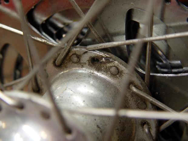 Tour Easy - broken rear spoke