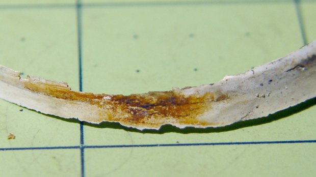 Bathroom sink epoxy - detail