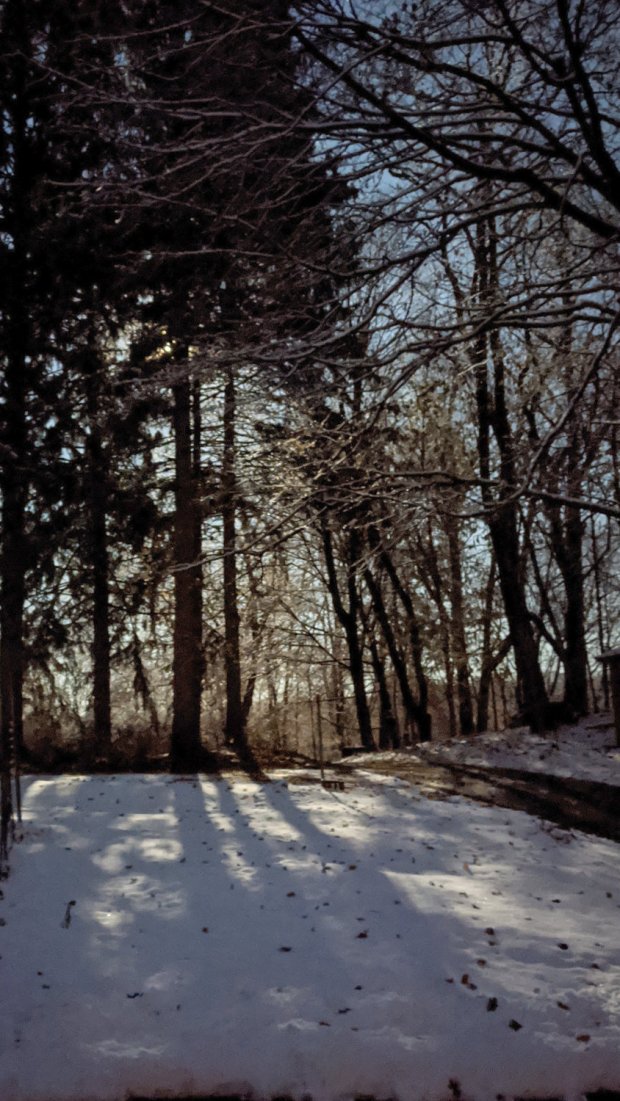 Pixel 3a Night Vision - moonrise