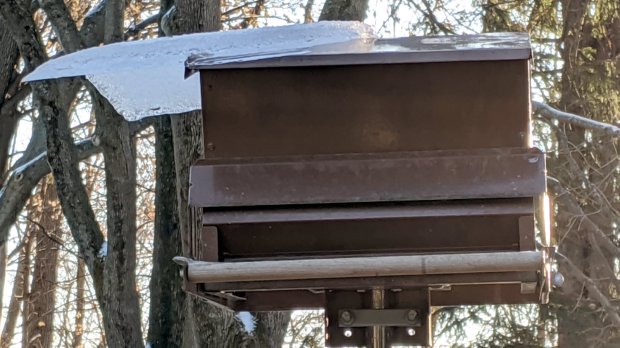 2019-12-19 - Ice on bird feeder - Day 0