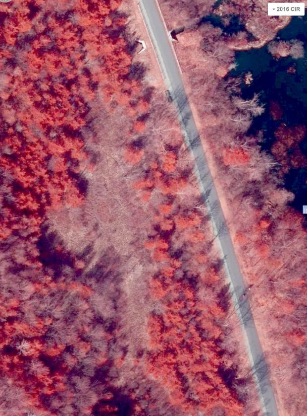 Beaver Lodge - DCRT N of Golds Gym - 2016 CIR image