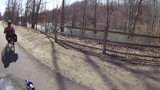 Dutchess Rail Trail: Beaver Lodge & Dam