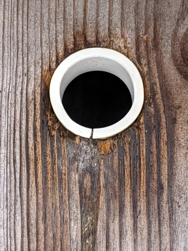 Bird Box - PVC pipe reducer - installed